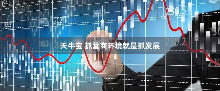天牛宝 抓营商环境就是抓发展