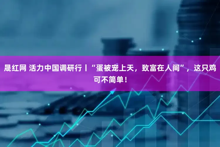 晟红网 活力中国调研行丨“蛋被宠上天，致富在人间”，这只鸡可不简单！