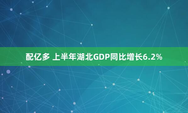 配亿多 上半年湖北GDP同比增长6.2%
