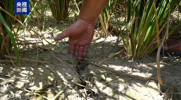 盛盈优配 江西发布高温橙色预警 多地最高气温可达38℃