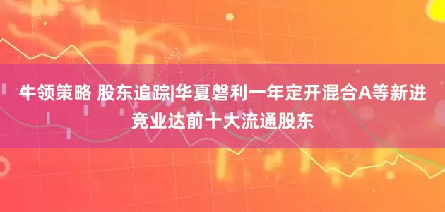 牛领策略 股东追踪|华夏磐利一年定开混合A等新进竞业达前十大流通股东