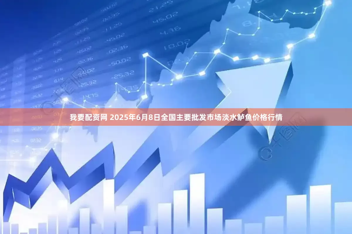 我要配资网 2025年6月8日全国主要批发市场淡水鲈鱼价格行情
