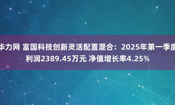 华力网 富国科技创新灵活配置混合：2025年第一季度利润2389.45万元 净值增长率4.25%