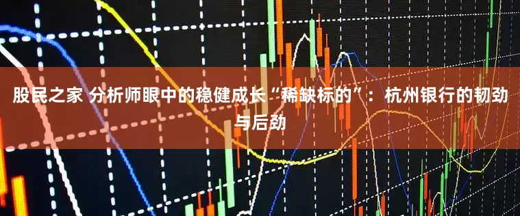 股民之家 分析师眼中的稳健成长“稀缺标的”：杭州银行的韧劲与后劲